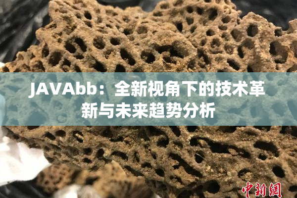 JAVAbb：全新视角下的技术革新与未来趋势分析