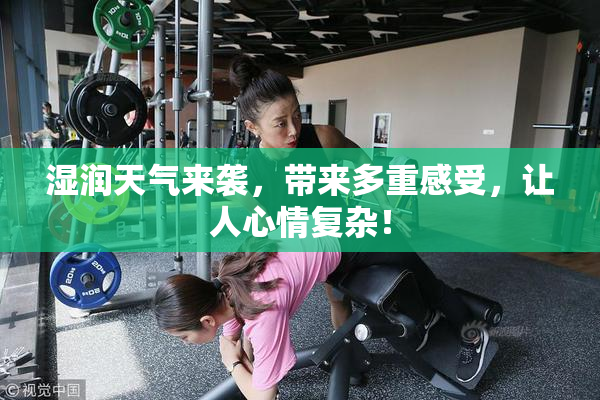 湿润天气来袭，带来多重感受，让人心情复杂！