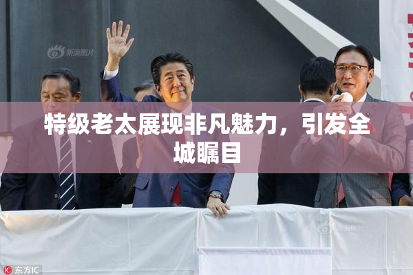 特级老太展现非凡魅力，引发全城瞩目
