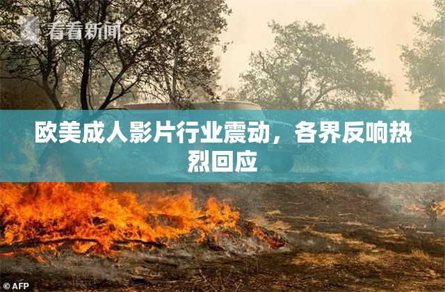 欧美成人影片行业震动，各界反响热烈回应