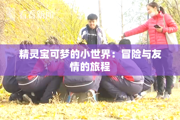 精灵宝可梦的小世界：冒险与友情的旅程