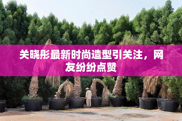关晓彤最新时尚造型引关注，网友纷纷点赞