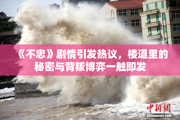 《不忠》剧情引发热议，楼道里的秘密与背叛博弈一触即发