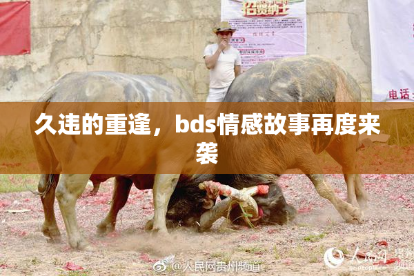 久违的重逢，bds情感故事再度来袭