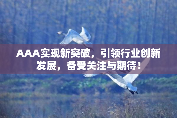 AAA实现新突破，引领行业创新发展，备受关注与期待！