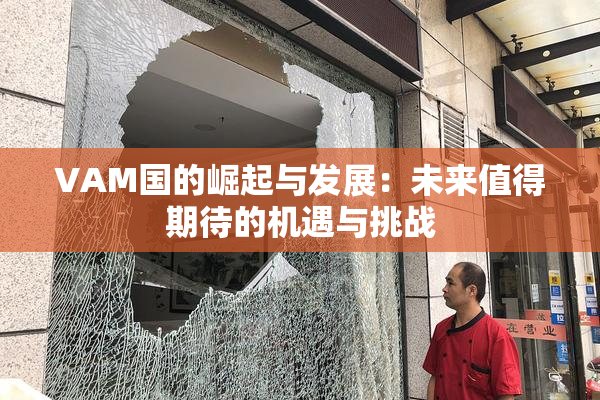 VAM国的崛起与发展：未来值得期待的机遇与挑战
