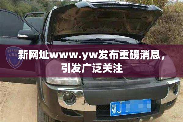 新网址www.yw发布重磅消息，引发广泛关注