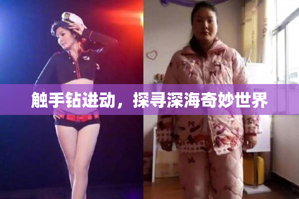 触手钻进动，探寻深海奇妙世界