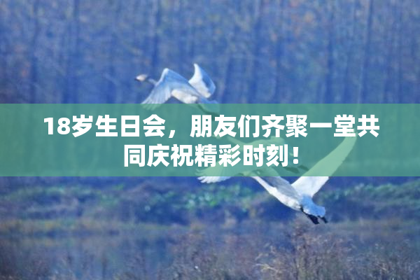 18岁生日会，朋友们齐聚一堂共同庆祝精彩时刻！