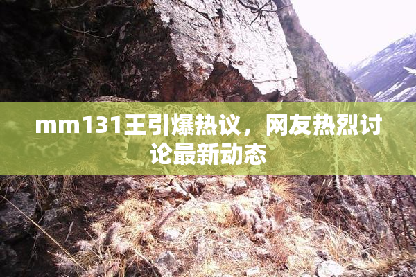 mm131王引爆热议，网友热烈讨论最新动态