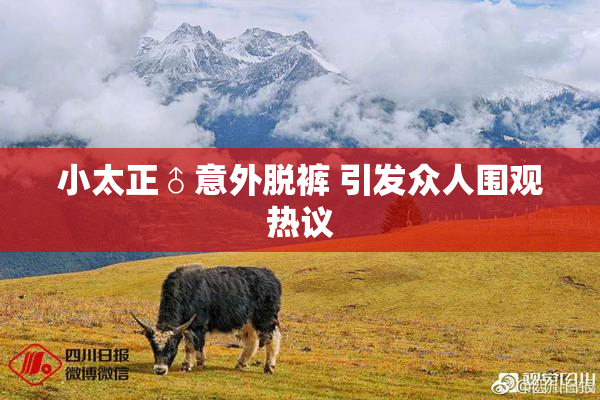 小太正♂意外脱裤 引发众人围观热议