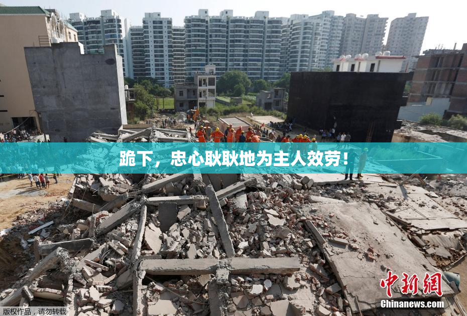 跪下，忠心耿耿地为主人效劳！