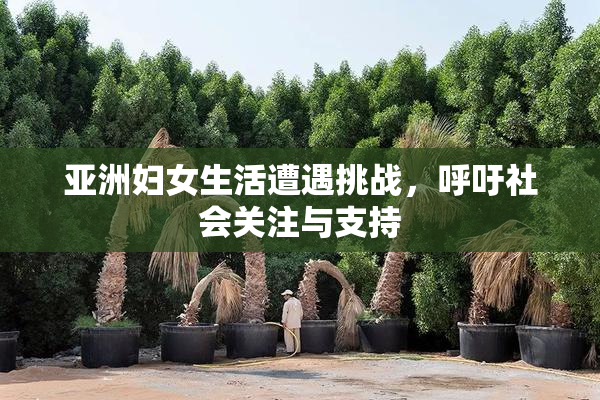 亚洲妇女生活遭遇挑战，呼吁社会关注与支持