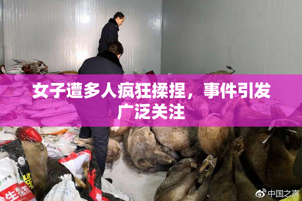 女子遭多人疯狂揉捏，事件引发广泛关注