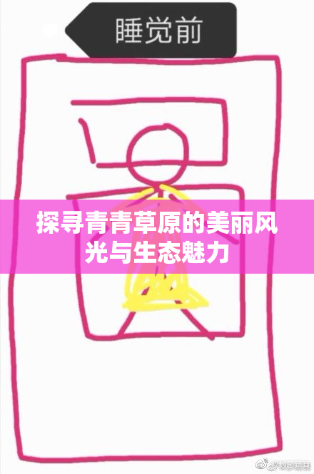 探寻青青草原的美丽风光与生态魅力