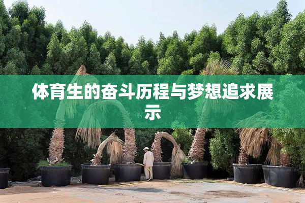 体育生的奋斗历程与梦想追求展示
