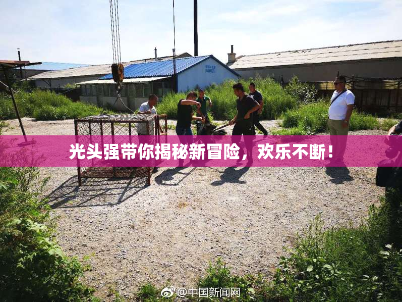 光头强带你揭秘新冒险，欢乐不断！