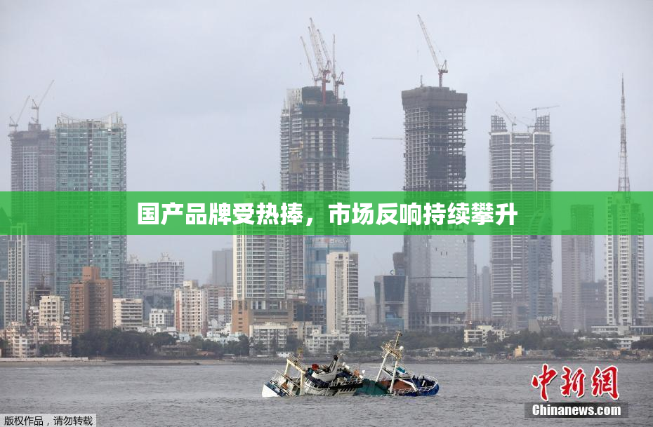 国产品牌受热捧，市场反响持续攀升