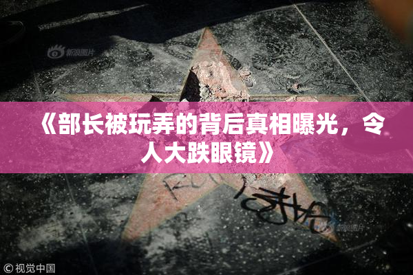 《部长被玩弄的背后真相曝光，令人大跌眼镜》