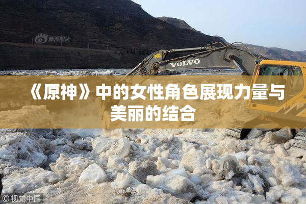 《原神》中的女性角色展现力量与美丽的结合
