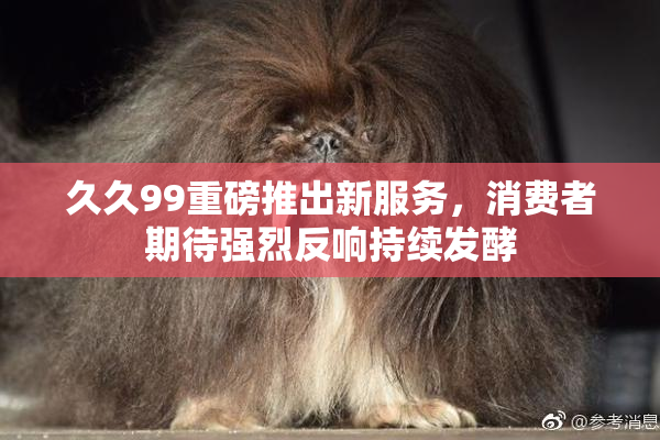久久99重磅推出新服务，消费者期待强烈反响持续发酵