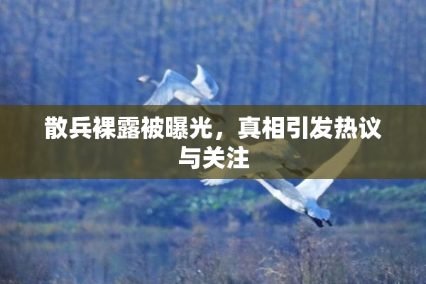 散兵裸露被曝光，真相引发热议与关注