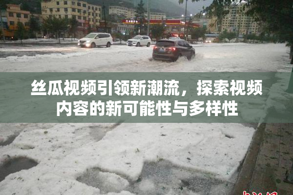 丝瓜视频引领新潮流，探索视频内容的新可能性与多样性