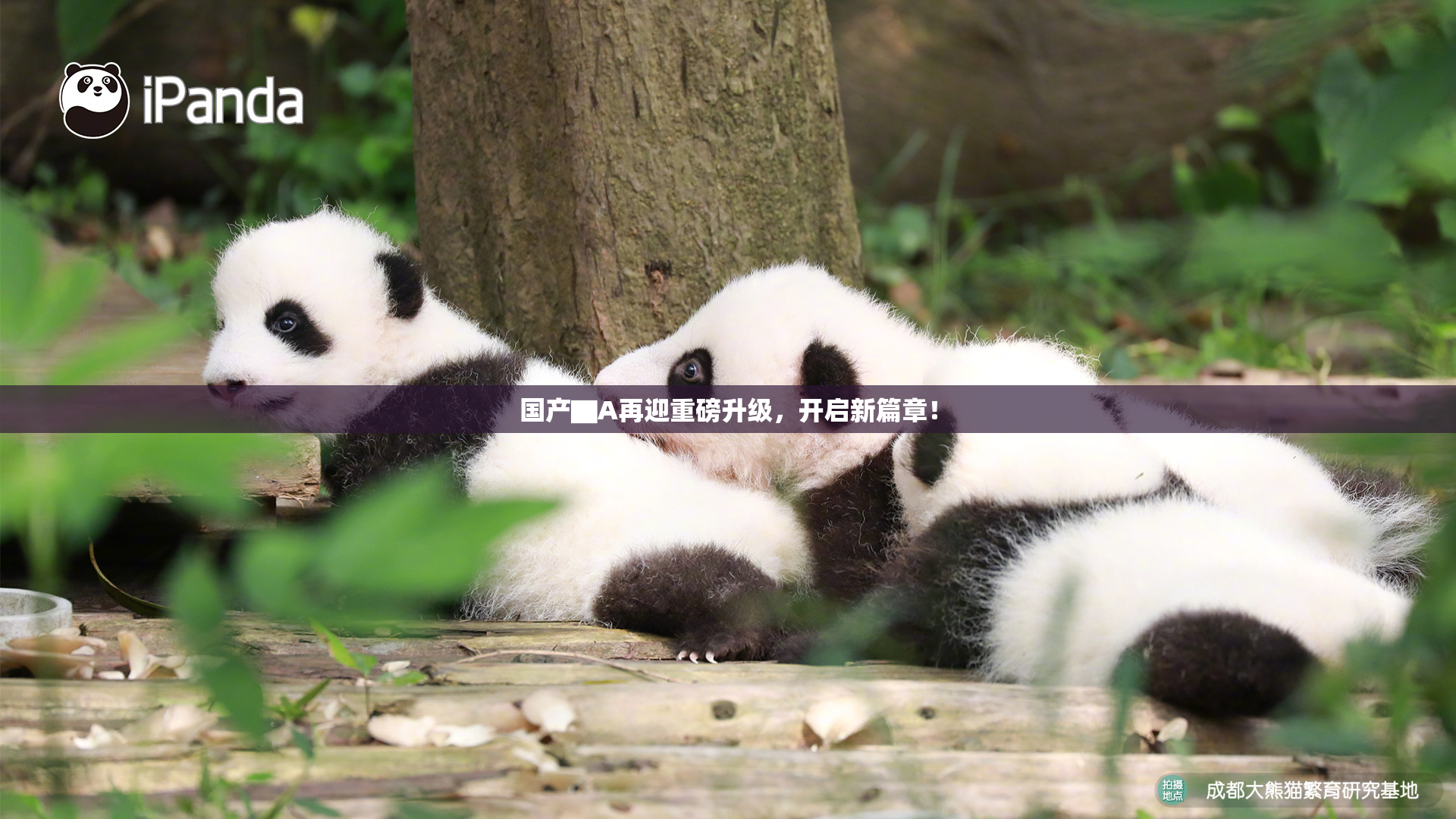 国产▇A再迎重磅升级，开启新篇章！