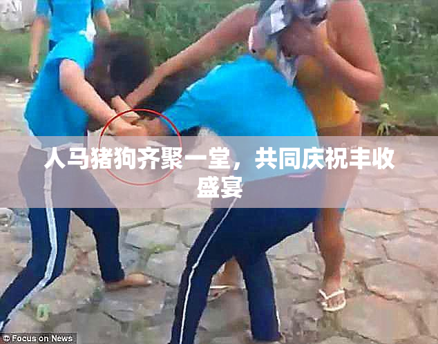 人马猪狗齐聚一堂，共同庆祝丰收盛宴