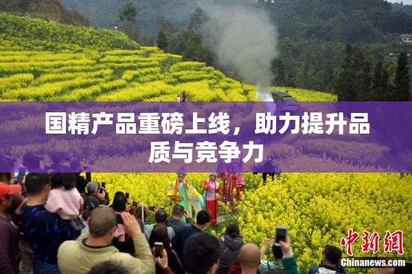 国精产品重磅上线，助力提升品质与竞争力