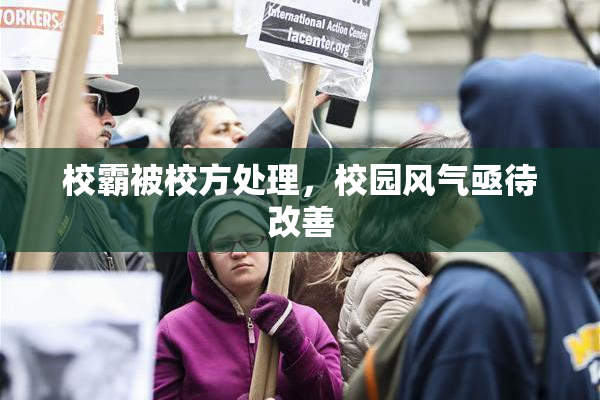 校霸被校方处理，校园风气亟待改善