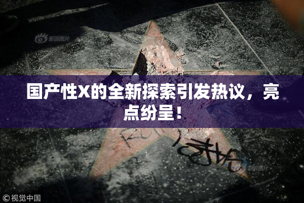 国产性X的全新探索引发热议，亮点纷呈！