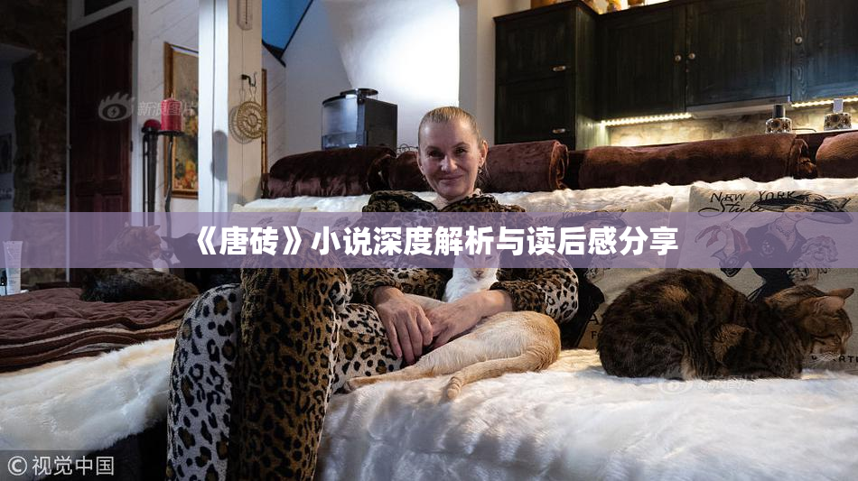 《唐砖》小说深度解析与读后感分享