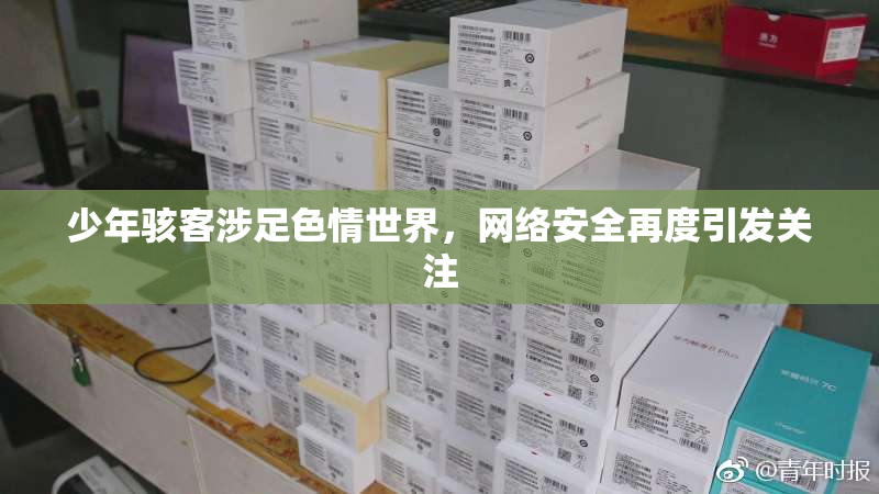 少年骇客涉足色情世界，网络安全再度引发关注