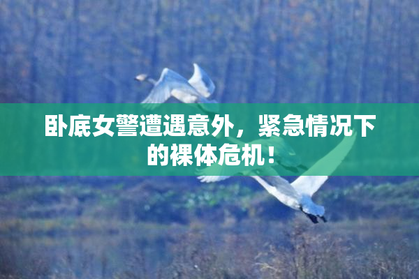 卧底女警遭遇意外，紧急情况下的裸体危机！