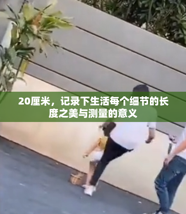 20厘米，记录下生活每个细节的长度之美与测量的意义