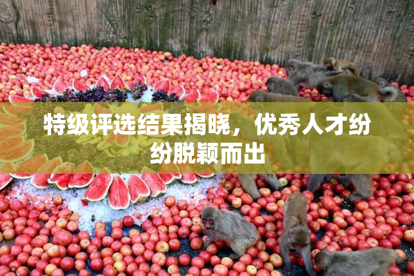 特级评选结果揭晓，优秀人才纷纷脱颖而出