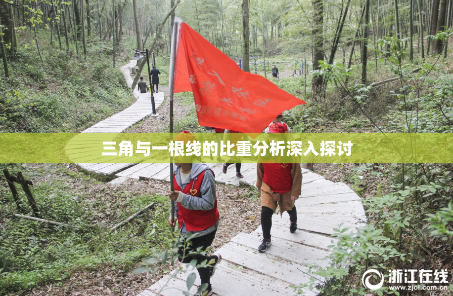 三角与一根线的比重分析深入探讨