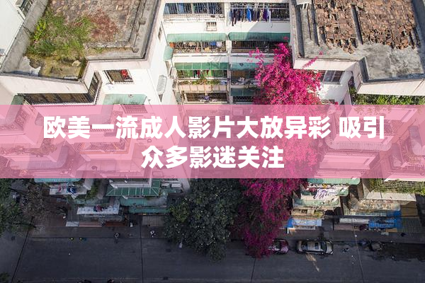 欧美一流成人影片大放异彩 吸引众多影迷关注
