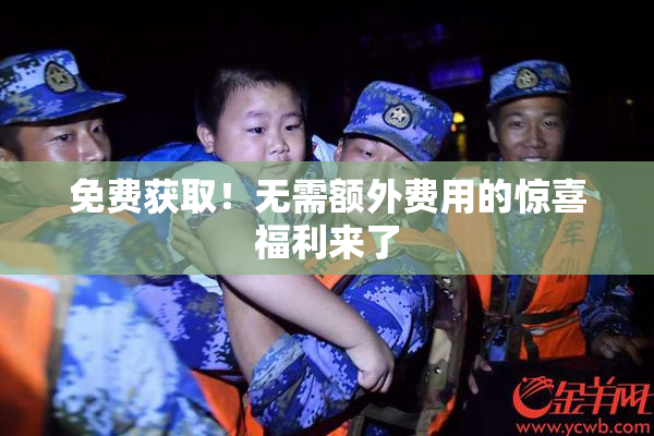 免费获取！无需额外费用的惊喜福利来了