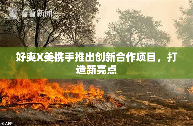 好爽X美携手推出创新合作项目，打造新亮点