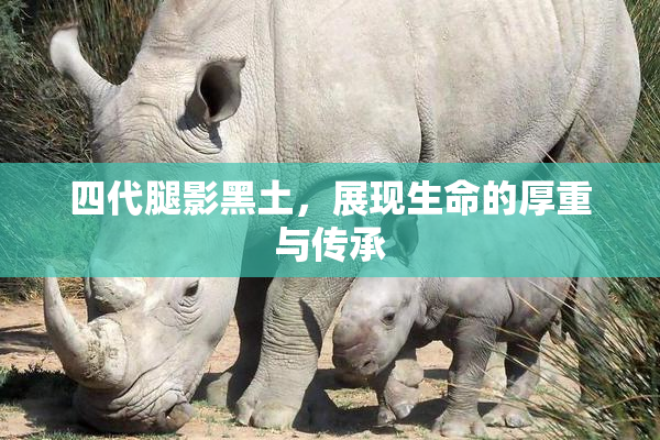 四代腿影黑土，展现生命的厚重与传承