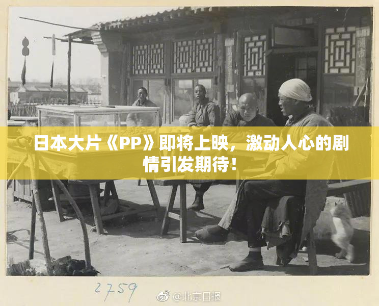 日本大片《PP》即将上映，激动人心的剧情引发期待！