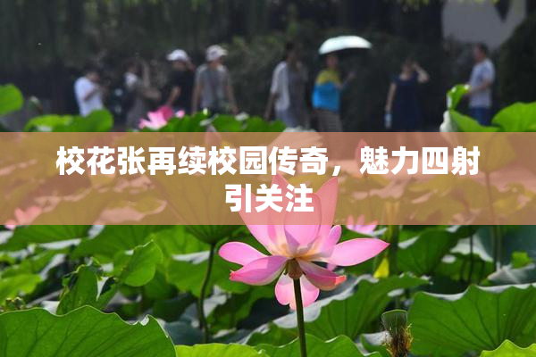 校花张再续校园传奇，魅力四射引关注