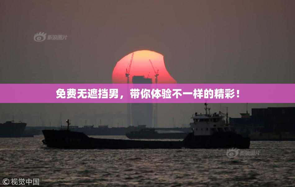 免费无遮挡男，带你体验不一样的精彩！