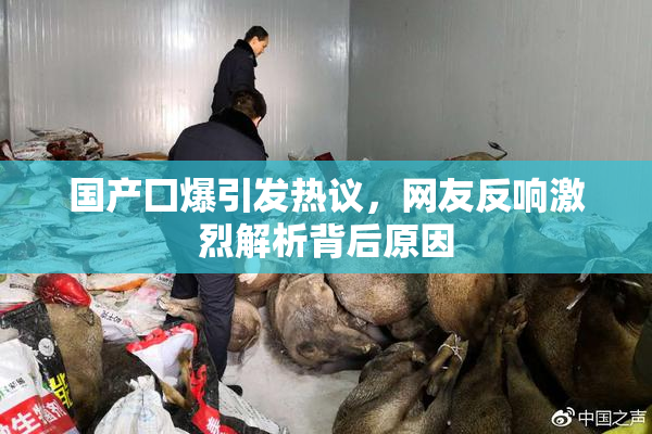 国产囗爆引发热议，网友反响激烈解析背后原因