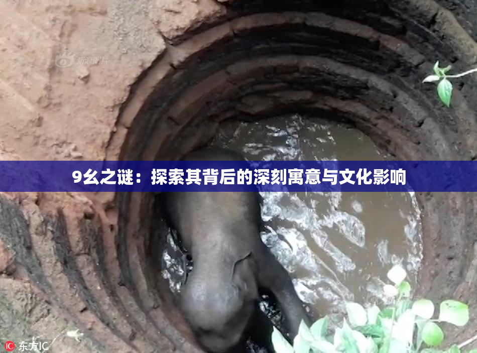 9幺之谜：探索其背后的深刻寓意与文化影响