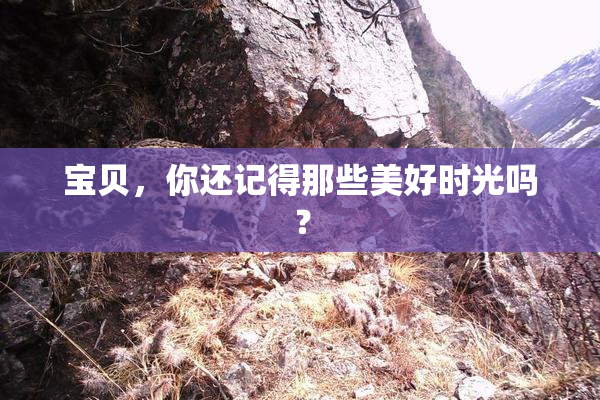 宝贝，你还记得那些美好时光吗？
