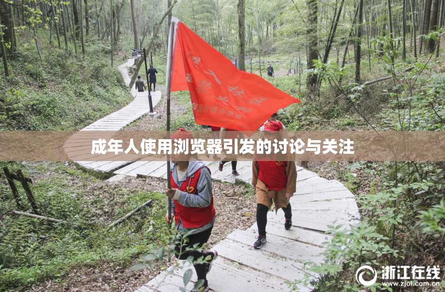 成年人使用浏览器引发的讨论与关注