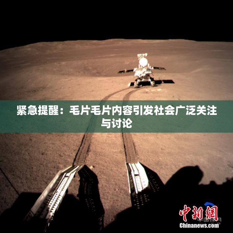 紧急提醒：毛片毛片内容引发社会广泛关注与讨论